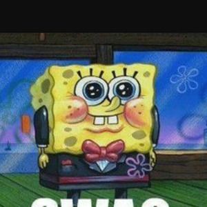 Meet your Posher, I am